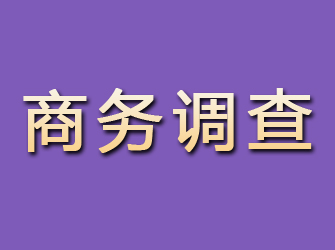 雁江商务调查