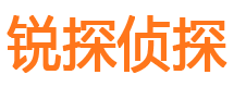 雁江市私家侦探